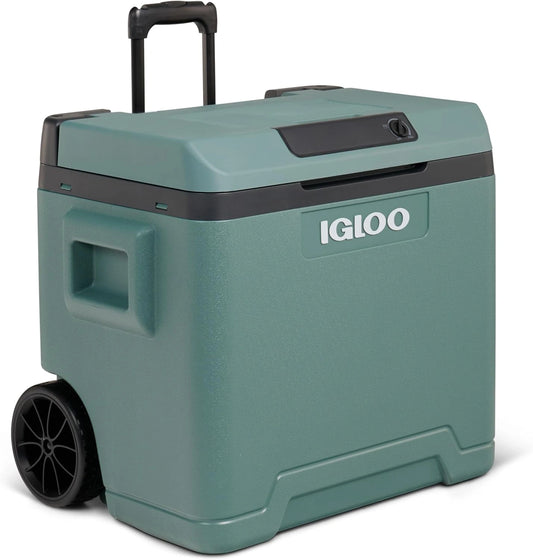 IGLOO IE42, Frigorifero, 12V, 230V, 42L, Verde
